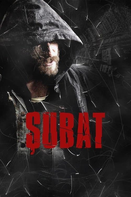 Åžubat