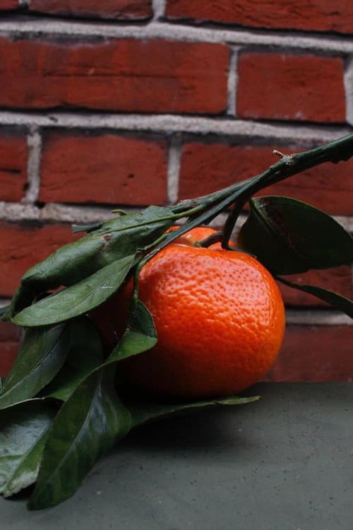 Orange Peel