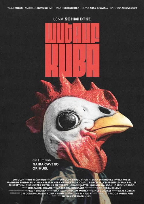 Why Chickens Donât Fly