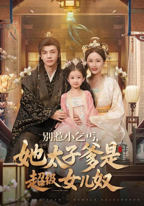 别惹小乞丐,她太子爹是超级女儿奴