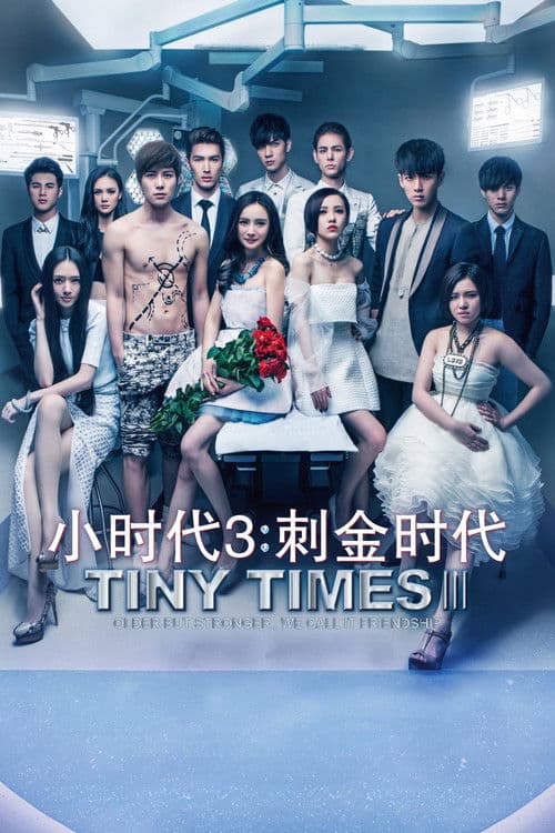 Tiny Times 3