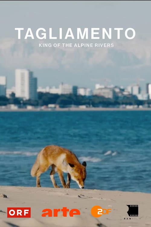 Tagliamento - King of The Alpine Rivers