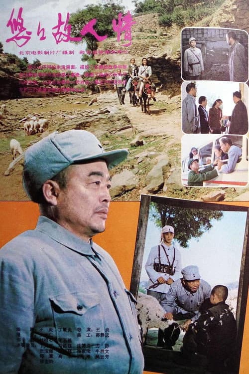 悠悠故人情